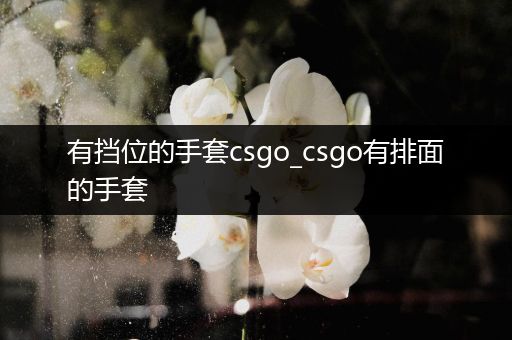有挡位的手套csgo_csgo有排面的手套