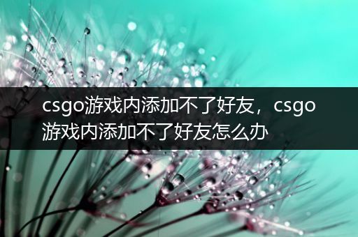 csgo游戏内添加不了好友，csgo游戏内添加不了好友怎么办