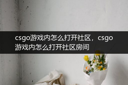 csgo游戏内怎么打开社区，csgo游戏内怎么打开社区房间