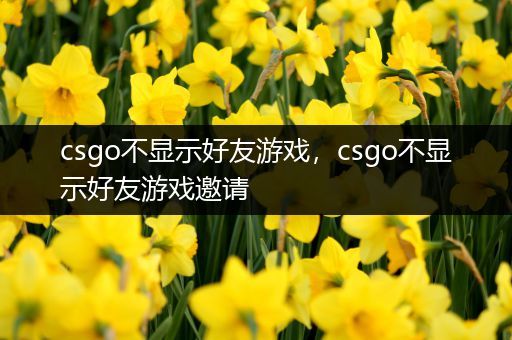 csgo不显示好友游戏，csgo不显示好友游戏邀请