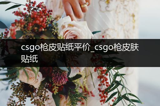 csgo枪皮贴纸平价_csgo枪皮肤贴纸