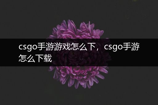 csgo手游游戏怎么下，csgo手游怎么下载