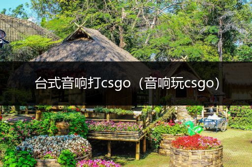 台式音响打csgo（音响玩csgo）
