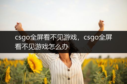 csgo全屏看不见游戏，csgo全屏看不见游戏怎么办