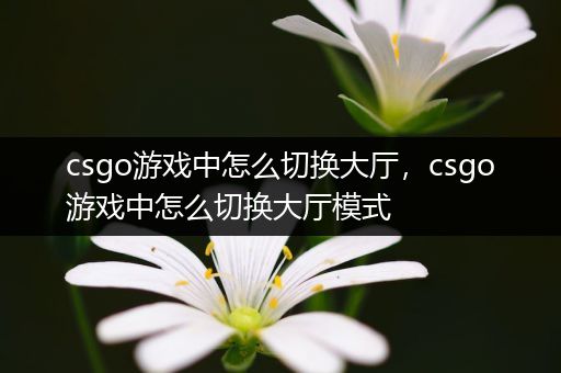 csgo游戏中怎么切换大厅，csgo游戏中怎么切换大厅模式