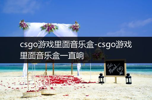 csgo游戏里面音乐盒-csgo游戏里面音乐盒一直响