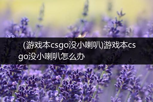 （游戏本csgo没小喇叭)游戏本csgo没小喇叭怎么办