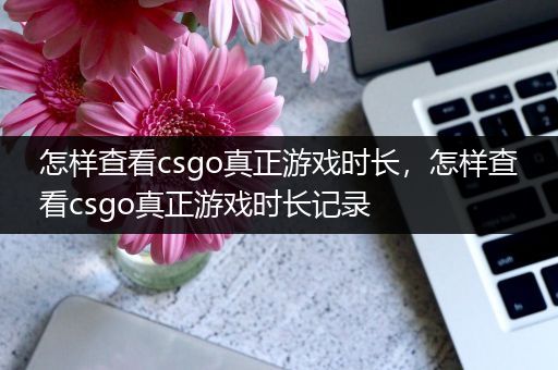 怎样查看csgo真正游戏时长，怎样查看csgo真正游戏时长记录