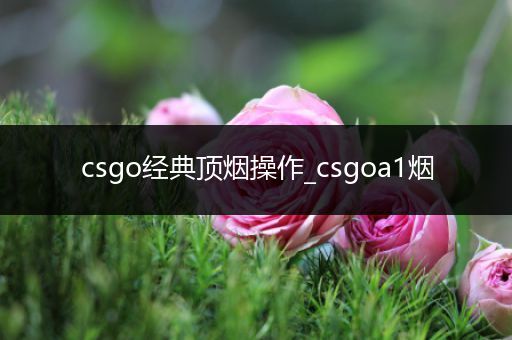 csgo经典顶烟操作_csgoa1烟