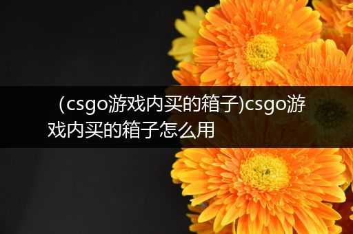 （csgo游戏内买的箱子)csgo游戏内买的箱子怎么用