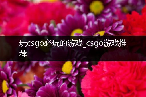 玩csgo必玩的游戏_csgo游戏推荐