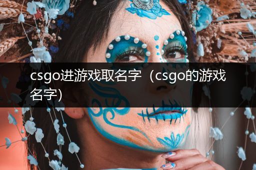 csgo进游戏取名字（csgo的游戏名字）
