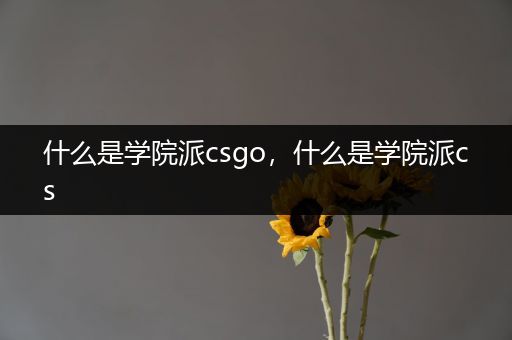 什么是学院派csgo，什么是学院派cs