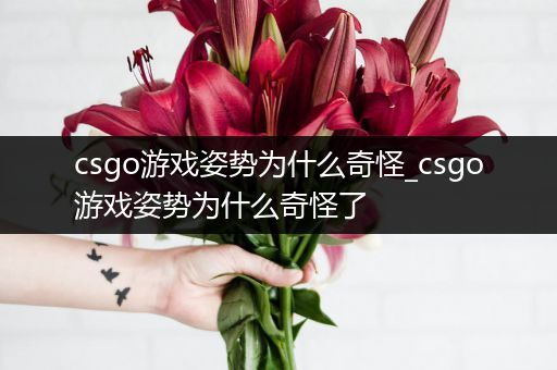 csgo游戏姿势为什么奇怪_csgo游戏姿势为什么奇怪了