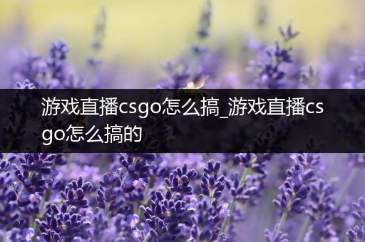 游戏直播csgo怎么搞_游戏直播csgo怎么搞的