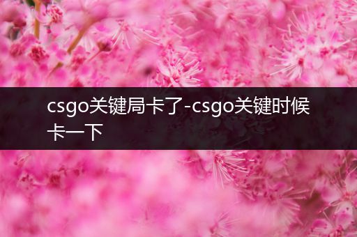 csgo关键局卡了-csgo关键时候卡一下