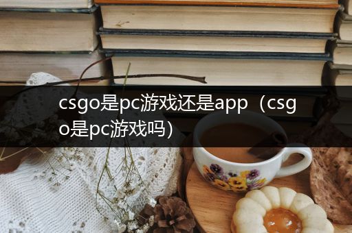 csgo是pc游戏还是app（csgo是pc游戏吗）