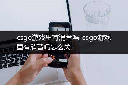 csgo游戏里有消音吗-csgo游戏里有消音吗怎么关