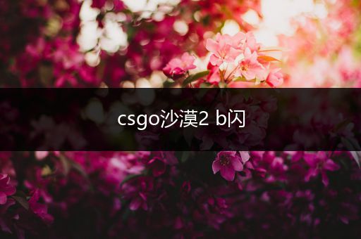 csgo沙漠2 b闪