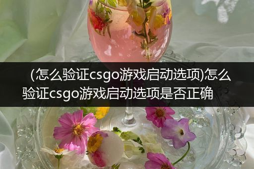 （怎么验证csgo游戏启动选项)怎么验证csgo游戏启动选项是否正确