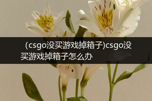（csgo没买游戏掉箱子)csgo没买游戏掉箱子怎么办
