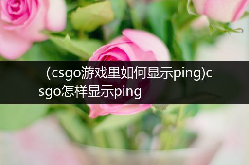 （csgo游戏里如何显示ping)csgo怎样显示ping