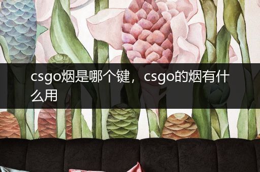 csgo烟是哪个键，csgo的烟有什么用