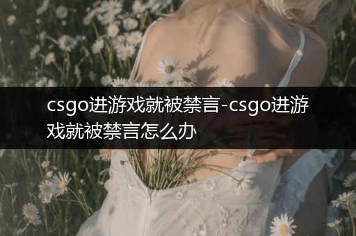 csgo进游戏就被禁言-csgo进游戏就被禁言怎么办