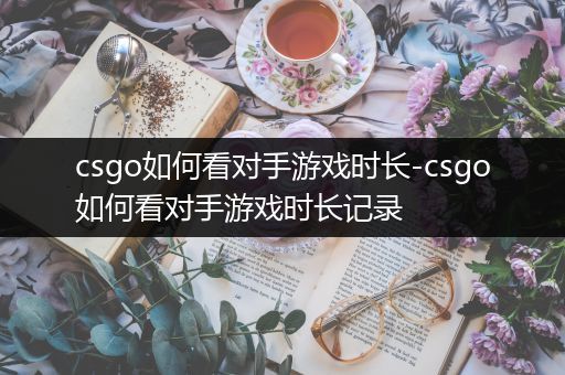csgo如何看对手游戏时长-csgo如何看对手游戏时长记录
