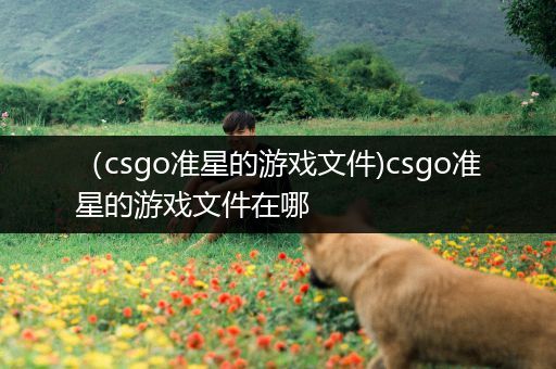 （csgo准星的游戏文件)csgo准星的游戏文件在哪