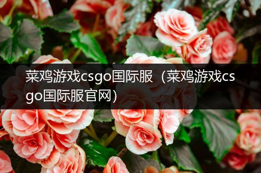 菜鸡游戏csgo国际服（菜鸡游戏csgo国际服官网）