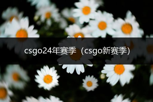 csgo24年赛季（csgo新赛季）