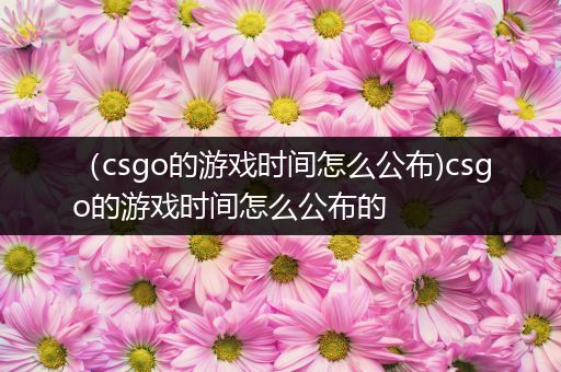 （csgo的游戏时间怎么公布)csgo的游戏时间怎么公布的