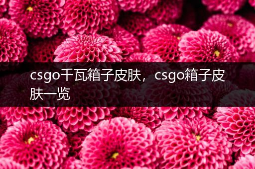 csgo千瓦箱子皮肤，csgo箱子皮肤一览