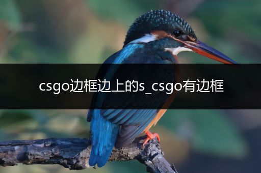 csgo边框边上的s_csgo有边框