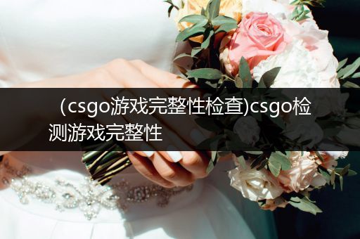 （csgo游戏完整性检查)csgo检测游戏完整性