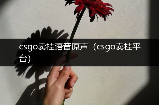 csgo卖挂语音原声（csgo卖挂平台）