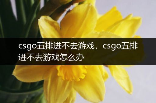 csgo五排进不去游戏，csgo五排进不去游戏怎么办
