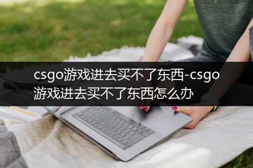 csgo游戏进去买不了东西-csgo游戏进去买不了东西怎么办