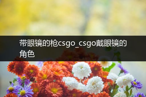 带眼镜的枪csgo_csgo戴眼镜的角色