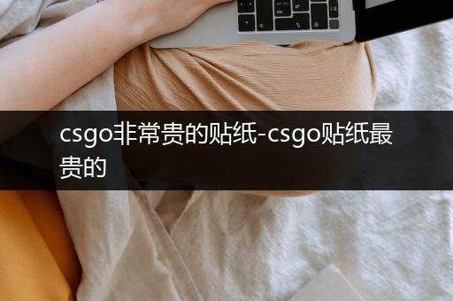 csgo非常贵的贴纸-csgo贴纸最贵的
