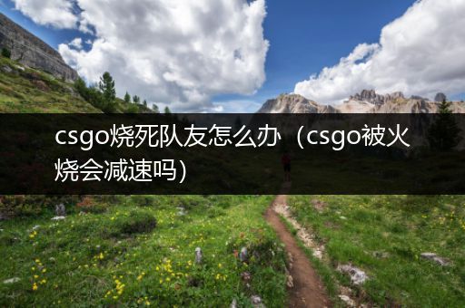 csgo烧死队友怎么办（csgo被火烧会减速吗）