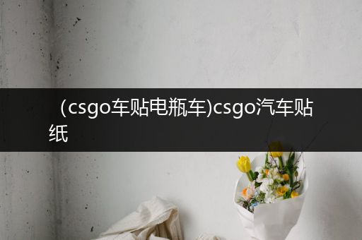 （csgo车贴电瓶车)csgo汽车贴纸