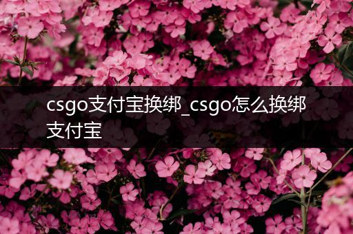 csgo支付宝换绑_csgo怎么换绑支付宝
