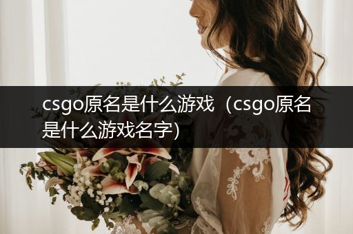 csgo原名是什么游戏（csgo原名是什么游戏名字）