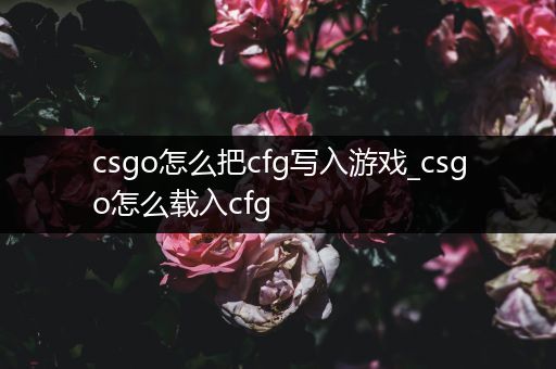 csgo怎么把cfg写入游戏_csgo怎么载入cfg