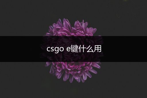 csgo e键什么用