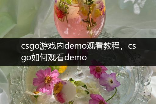 csgo游戏内demo观看教程，csgo如何观看demo