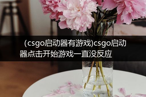 （csgo启动器有游戏)csgo启动器点击开始游戏一直没反应