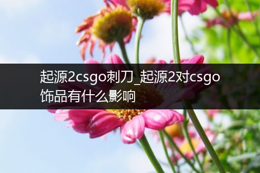起源2csgo刺刀_起源2对csgo饰品有什么影响